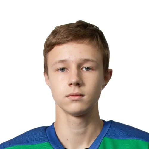 Ahmetov Yaroslav Feliksovich
