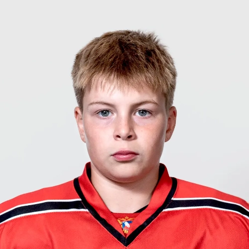 Shebalov Nikita Mihailovich