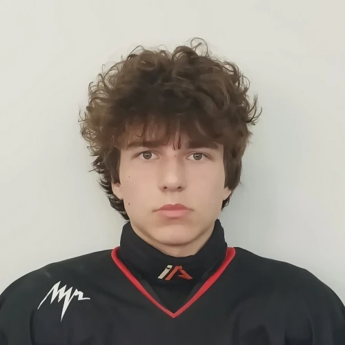 Bondarenko Artem Aleksandrovich