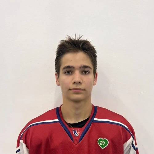Tangatarov Timur Ildarovich
