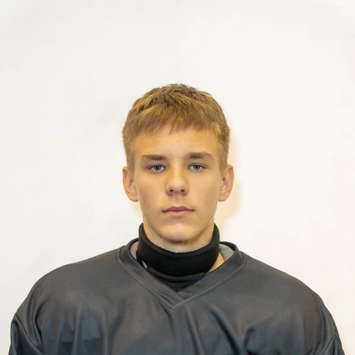 Mironov Savelii Andreevich