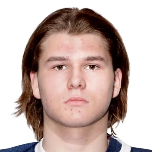 Lavrov Egor Vladimirovich