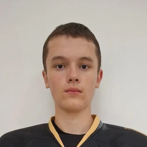 Sergeev Maksim Alekseevich