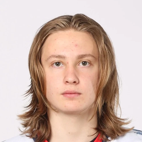 Bushmakin Aleksei Andreevich