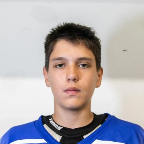 Zarafutdinov Arsen Dinarisovich