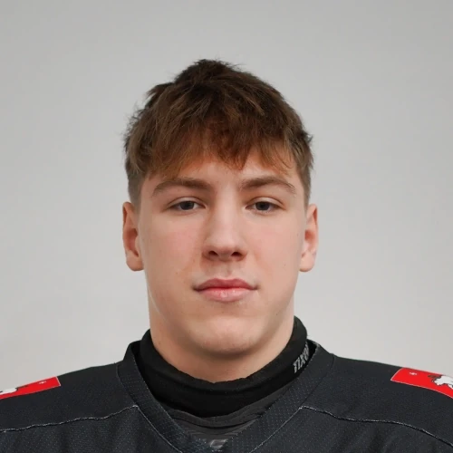 Kosterin Matvei Alekseevich