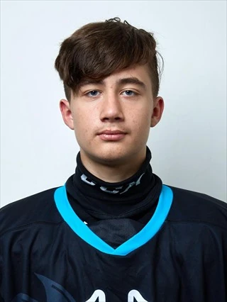 Larochkin Daniil Artemovich