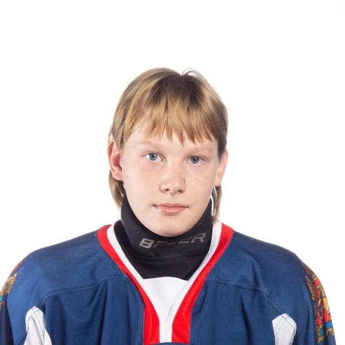 Karmanov Danil Arturovich
