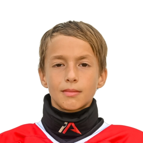 Demchenko Arsentii Andreevich