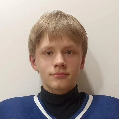 Gavrikov Egor Sergeevich