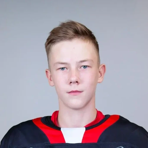Ivanov Dmitrii Vladimirovich