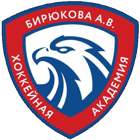 Академия Бирюкова 2013