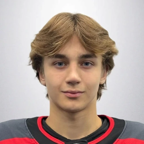 Shumilin Lev Alekseevich