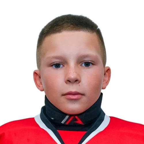 Lebedev Lev Pavlovich