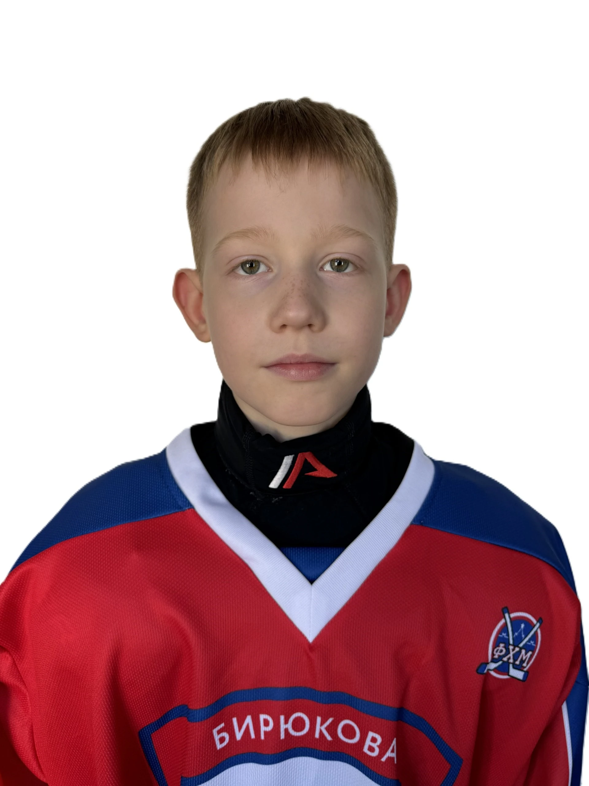 Rybnikov Leonid Alekseevich
