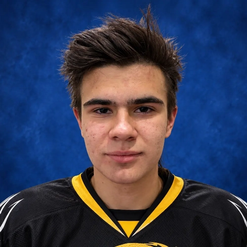 Krivobokov Vladislav Evgenevich