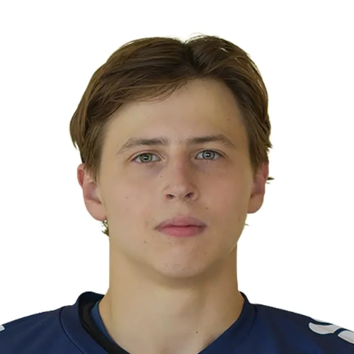 Лекомцев Арсений Денисович