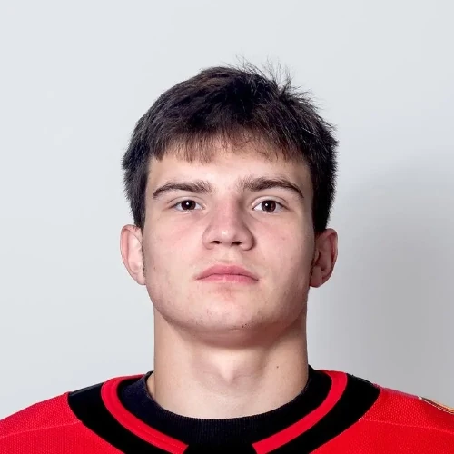 Petrovskii Vladislav Vladimirovich