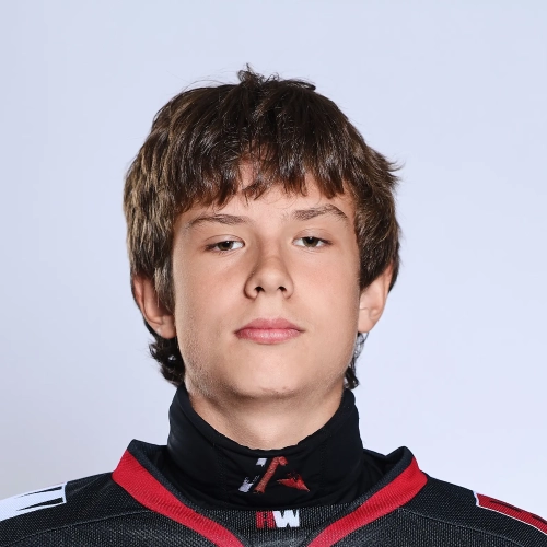 Abramov Petr Yurevich