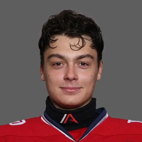 Malikov Vasilii Ivanovich