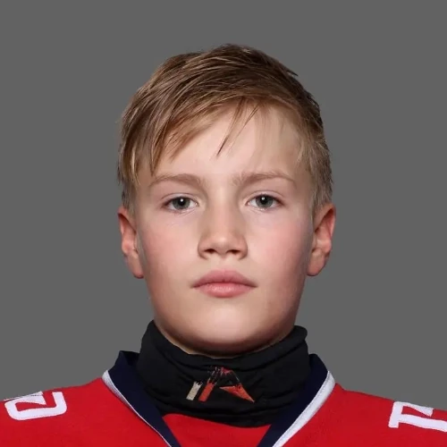 Гладышев Дмитрий Ильич