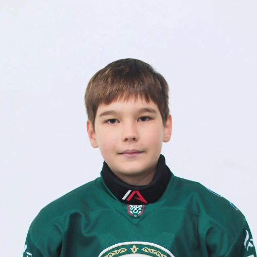 Pestushko Denis Maksimovich