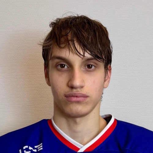 Zorin Matvei Sergeevich