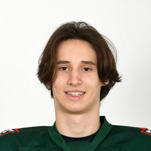 Pustovoi Andrei Vasilevich