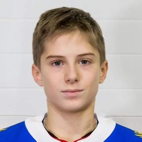 Shevtsov Egor Yurevich