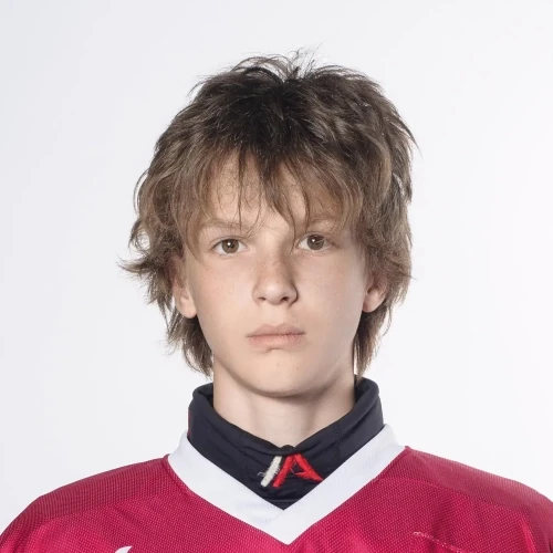 Naidanov Aleksandr Mihailovich