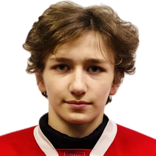 Shepelev Vladislav Vasilevich