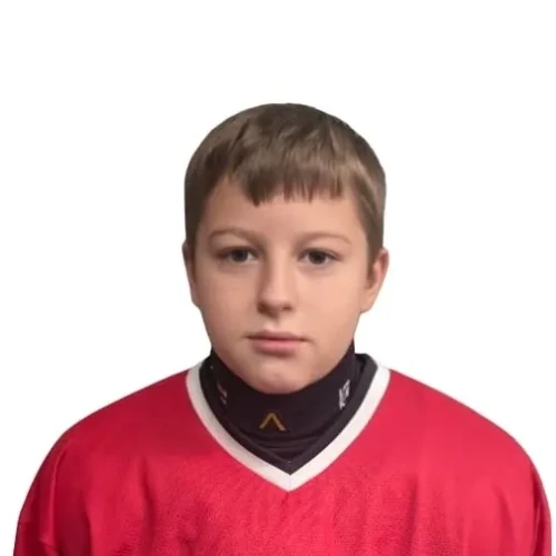 Litvinov Gavriil Vladimirovich