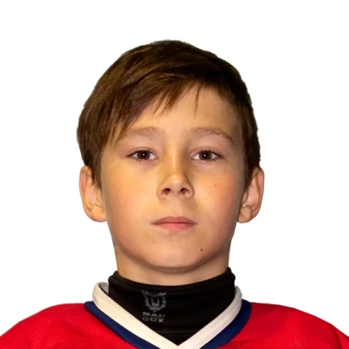 Shahtarev Danil Dmitrievich