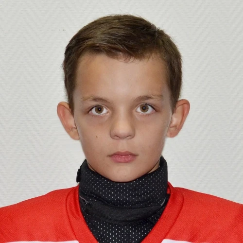 Ветчинкин Данил Сергеевич