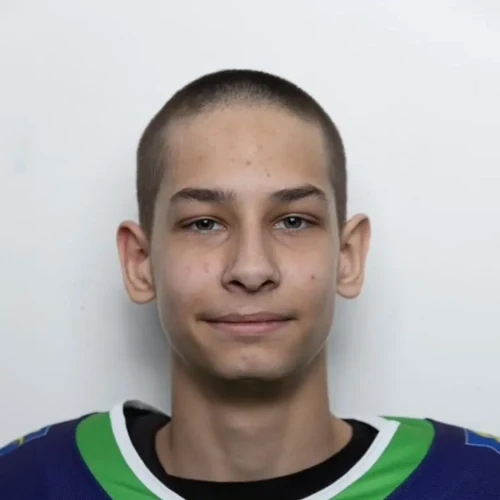 Shamsutdinov Aleksandr Rinatovich