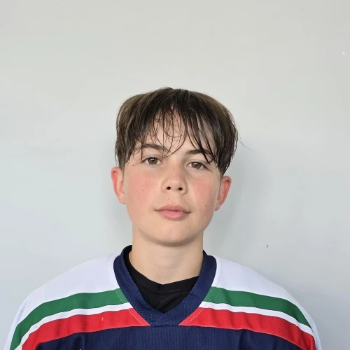 Gainullin Danis Renatovich
