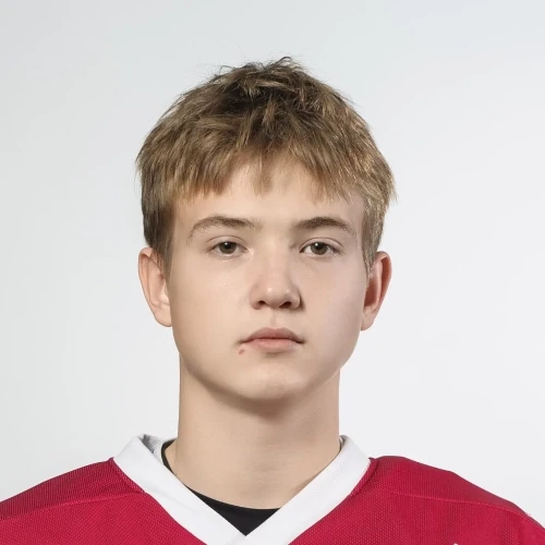 Egorov Roman Konstantinovich