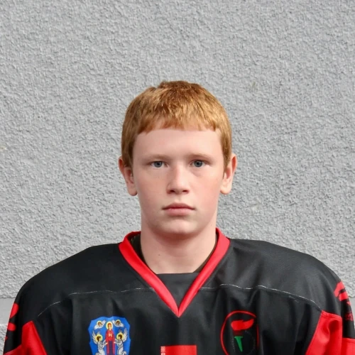 Tsygankov Artem Igorevich