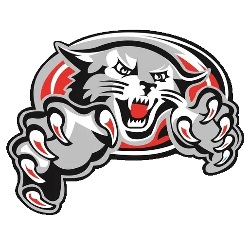 Belyi Barc