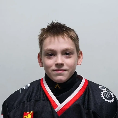 Linnik Evgenii Olegovich