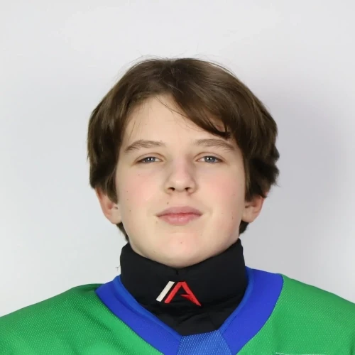 Grebenkov Demid Artemovich