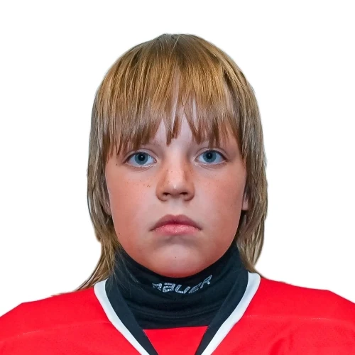 Durmanenko Vladimir Vladimirovich