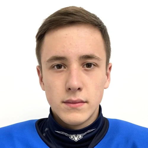 Nikitin Nikita Nikolaevich