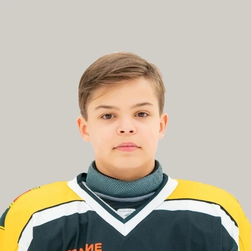 Stashevskii Gleb Nikolaevich