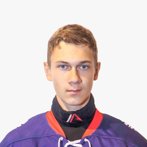 Chekmarev Vladislav Vladimirovich