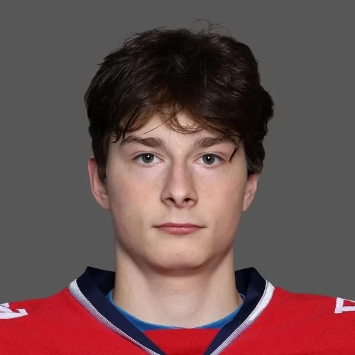 Kobzev Nikita Nikolaevich