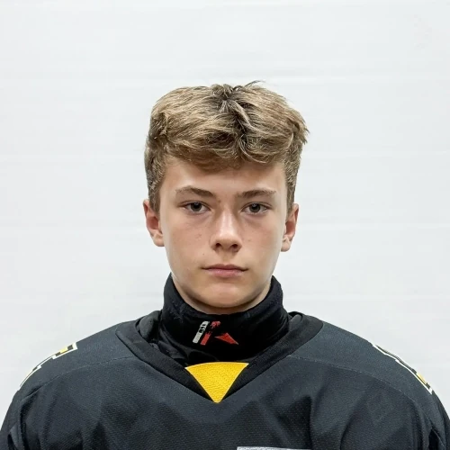 Petrov Artem Anatolevich