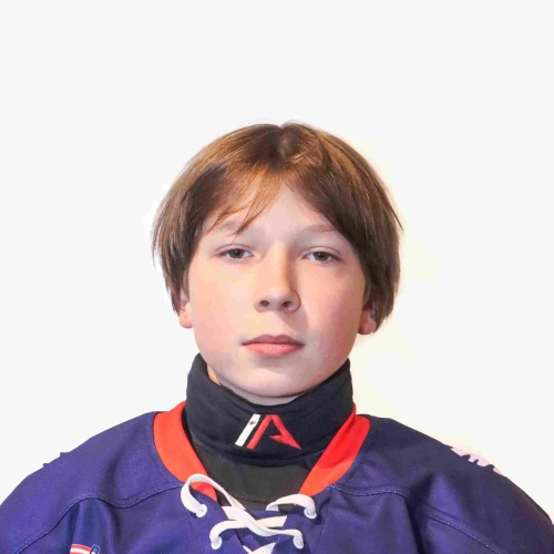 Tselyh Dmitrii Aleksandrovich