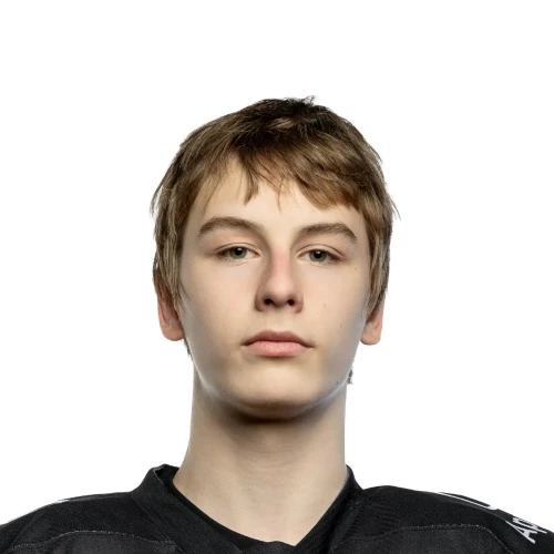 Luginin Vladislav Igorevich