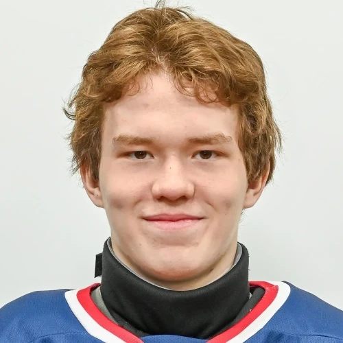 Berezin Artem Sergeevich